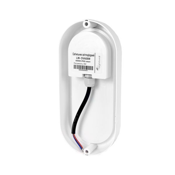 Светильник светодиодный Lightwell LW-OVA08W 8Вт 6000К IP65 256646 фото