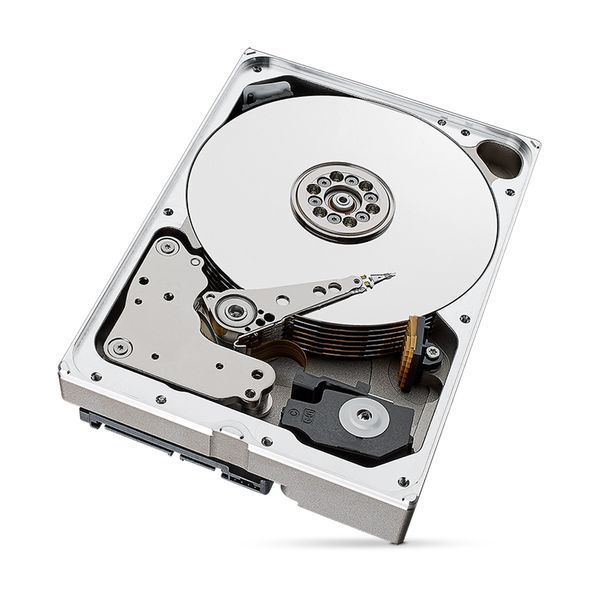Жорсткий диск 10TB Seagate SkyHawk AI ST10000VE001 для відеоспостереження 175322 фото