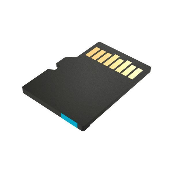 Карта памяти Kingston microSDXC 256GB Canvas Go! Plus Class 10 UHS-I U3 V30 A2 (SDCG3/256GBSP) 239543 фото