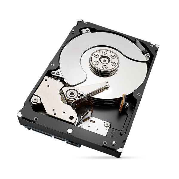 Жесткий диск 6TB Seagate SkyHawk ST6000VX009 для видеонаблюдения 270202 фото
