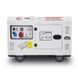 Дизельный генератор TMG Power DG 11000TSE максимальная мощность 8 кВт 252764 фото 2