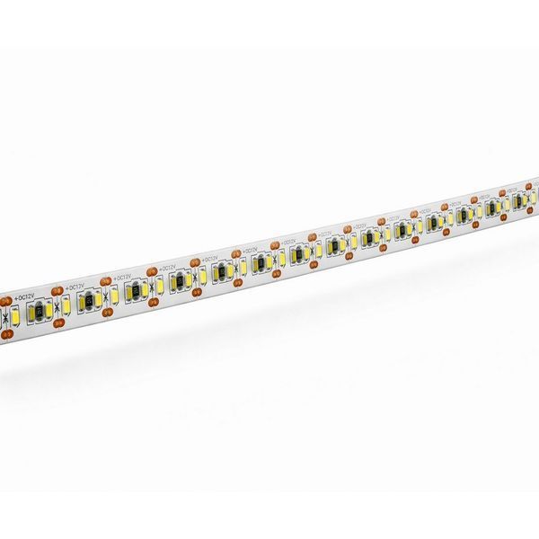 Светодиодная лента Lightwell 2835 240LED 12V 4000k 10mm White 5 метрів 303021 фото